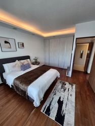 Cairnhill Plaza (D9), Apartment #476743291